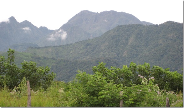 Volcan Baru 2008 073